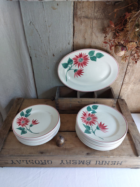 Lot de 20 assiettes et 1 plat ovale Terre de Fer Lisieux HBCM Creil et Montereau