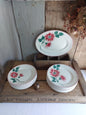 Lot de 20 assiettes et 1 plat ovale Terre de Fer Lisieux HBCM Creil et Montereau