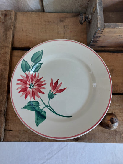 Lot de 20 assiettes et 1 plat ovale Terre de Fer Lisieux HBCM Creil et Montereau