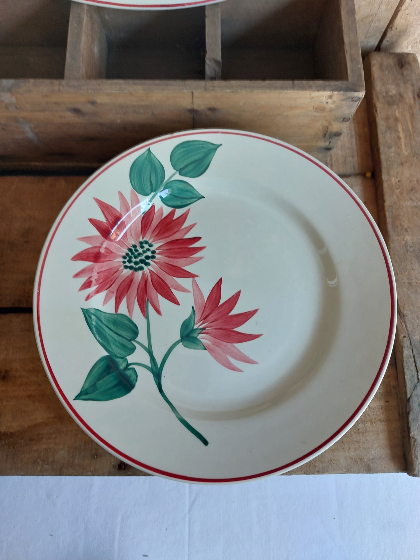 Lot de 20 assiettes et 1 plat ovale Terre de Fer Lisieux HBCM Creil et Montereau