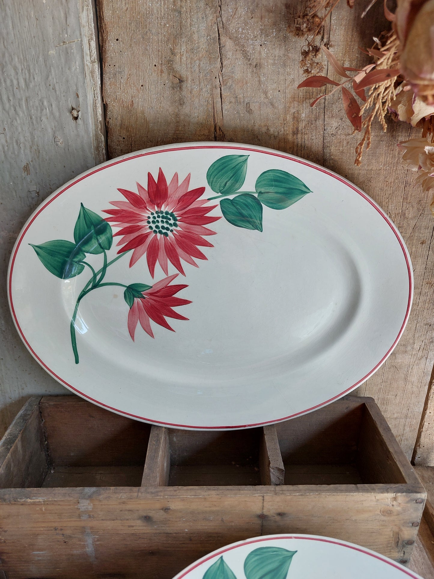 Lot de 20 assiettes et 1 plat ovale Terre de Fer Lisieux HBCM Creil et Montereau