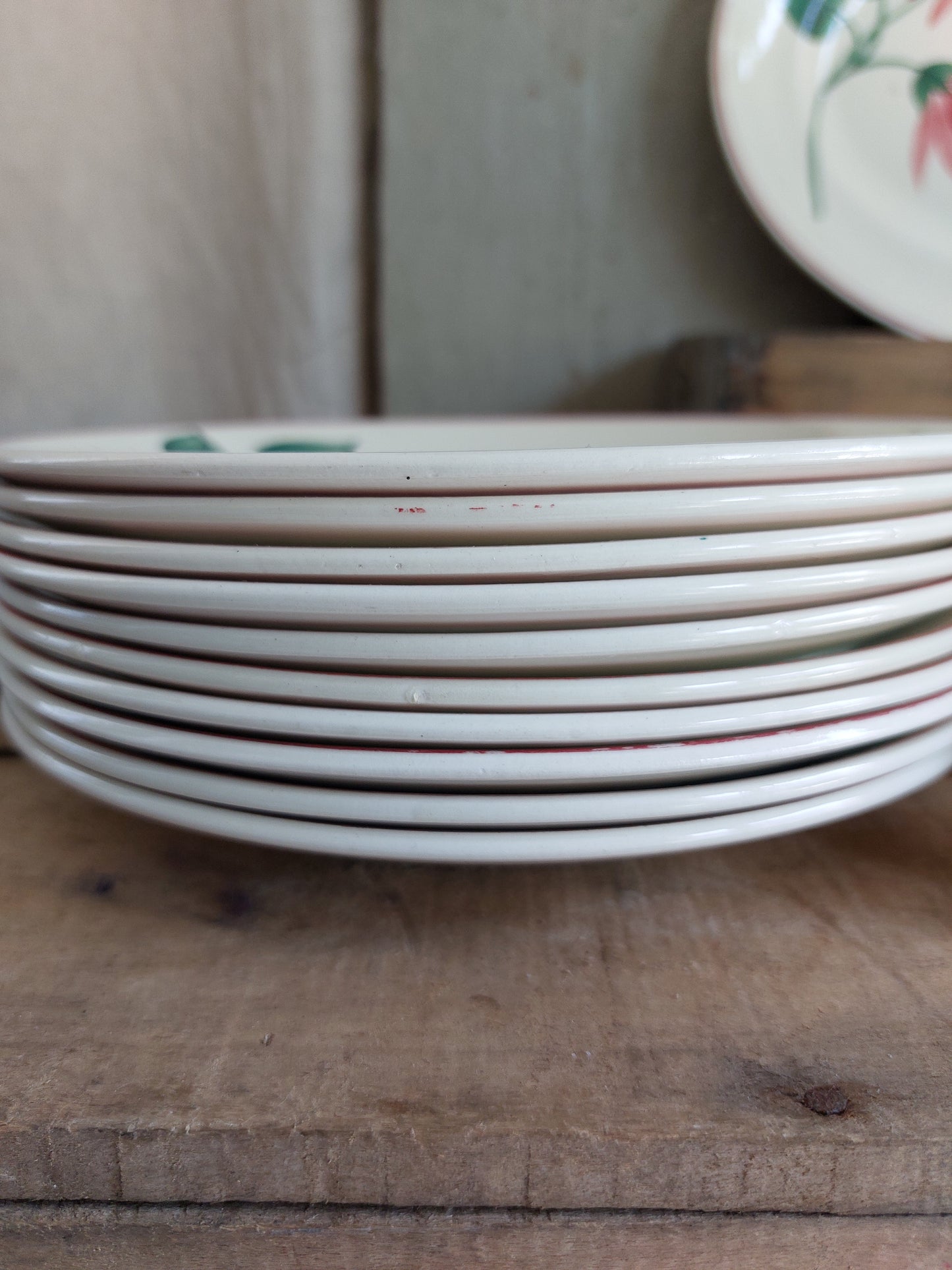 Lot de 20 assiettes et 1 plat ovale Terre de Fer Lisieux HBCM Creil et Montereau
