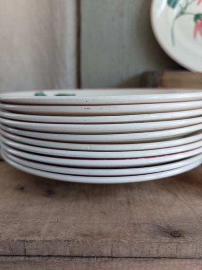 Lot de 20 assiettes et 1 plat ovale Terre de Fer Lisieux HBCM Creil et Montereau