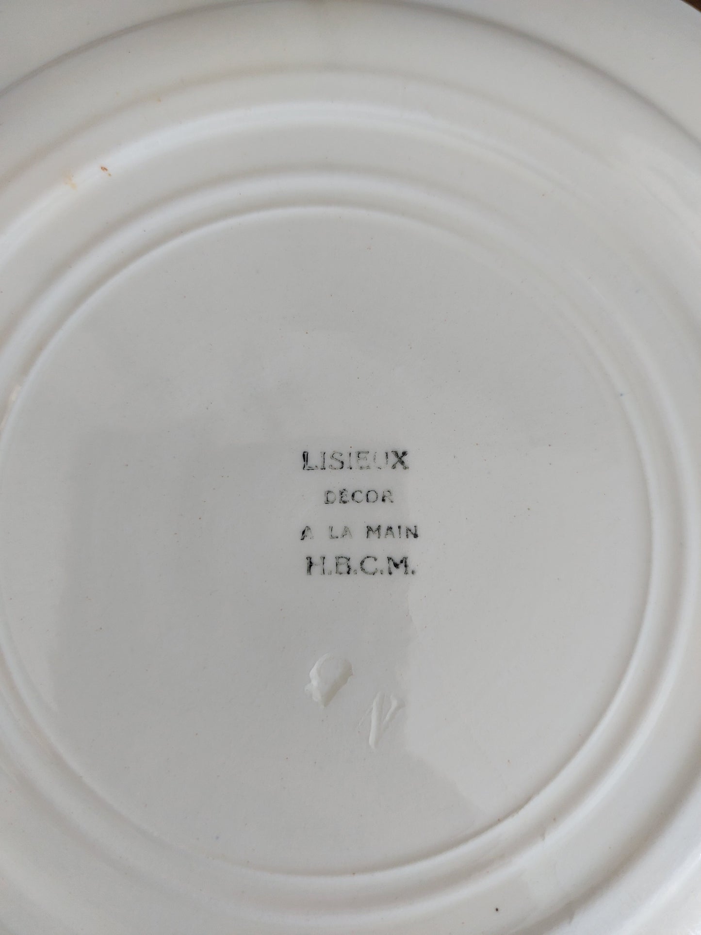 Lot de 20 assiettes et 1 plat ovale Terre de Fer Lisieux HBCM Creil et Montereau