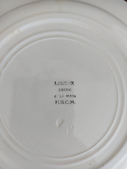 Lot de 20 assiettes et 1 plat ovale Terre de Fer Lisieux HBCM Creil et Montereau