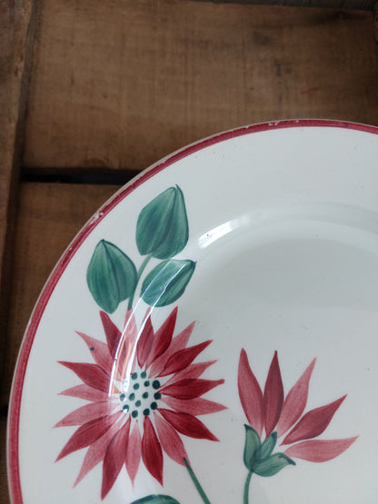 Lot de 20 assiettes et 1 plat ovale Terre de Fer Lisieux HBCM Creil et Montereau