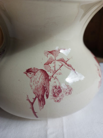 Broc de toilette Terre de Fer HB et Cie modèle Marseille vieux rose